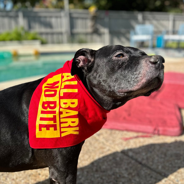 All Bark No Bite Dog Bandana