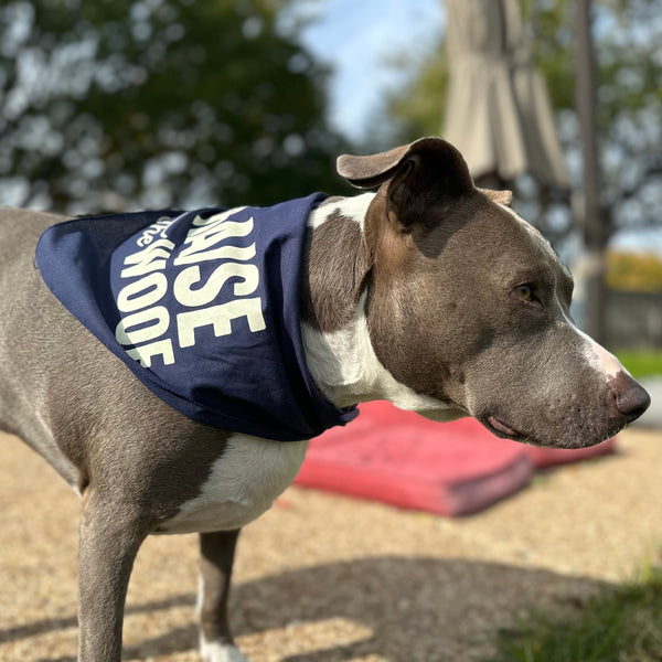 Raise the Woof Dog Bandana